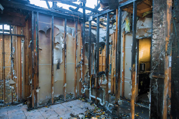 Professional Fire Damage Removal technician working in Gananda, NY